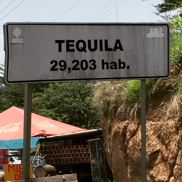 Going on a Tequila Factory Tour in Mexico